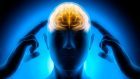 Il sistema cerebrale della ricerca e le dipendenze comportamentali