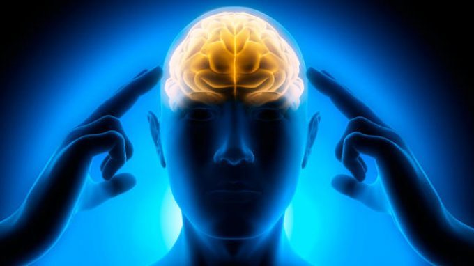 Il sistema cerebrale della ricerca e le dipendenze comportamentali