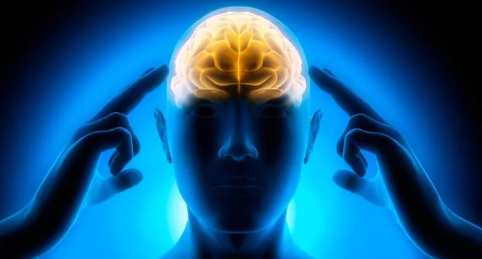 Immagine: Fotolia_60547915 il sistema cerebrale della ricerca e le dipendenze