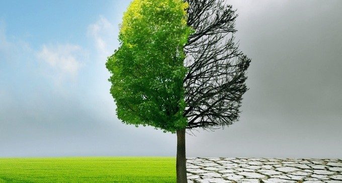 La Doppia Diagnosi: ad ogni disturbo le sue sostanze