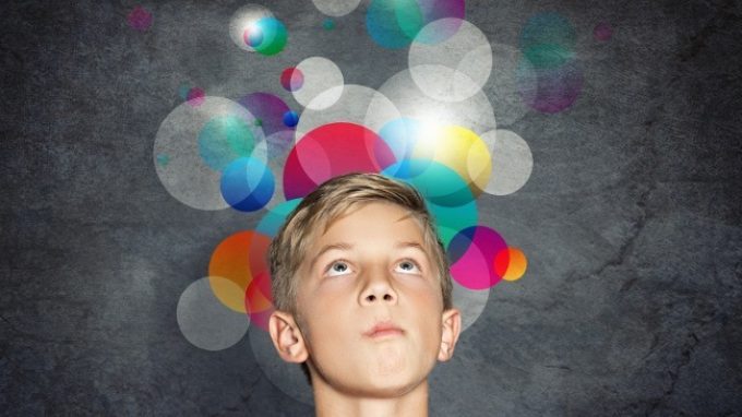 La creatività secondo la teoria sistemica di Csikszentmihalyi: il ruolo della persona