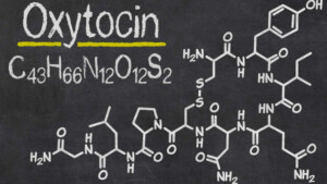 Il lato oscuro dell'ormone dell'amore: somiglianze tra gli effetti dell'ossitocina e dell'alcol