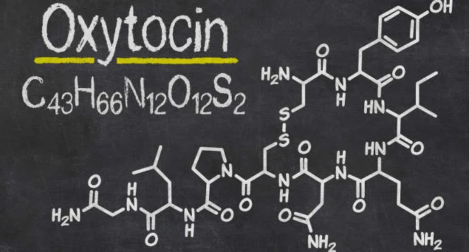 Il lato oscuro dell'ormone dell'amore: somiglianze tra gli effetti dell'ossitocina e dell'alcol