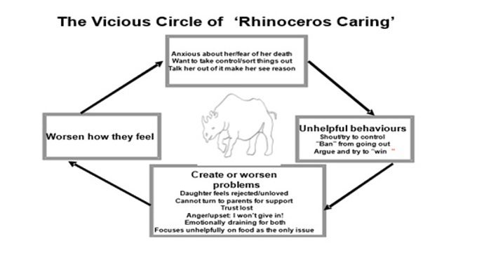 Metafora del Rinoceronte - La ricerca sugli interventi con familiari e pazienti con disturbi dell’alimentazione - Report