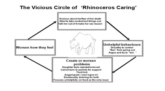 Metafora del Rinoceronte - La ricerca sugli interventi con familiari e pazienti con disturbi dell’alimentazione - Report