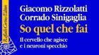 So quel che fai: il cervello che agisce e i neuroni specchio di Rizzolatti e Sinigaglia – Recensione