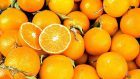 Triglie alle arance nella Sicilia dei pugili – Taste of Mind Nr.02