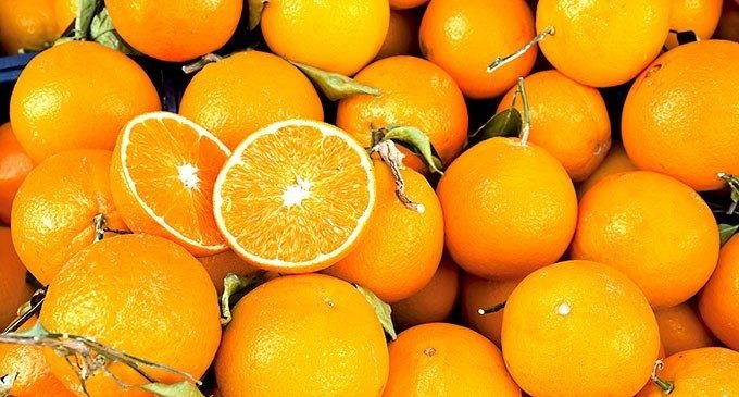 Triglie alle arance nella Sicilia dei pugili – Taste of Mind Nr.02