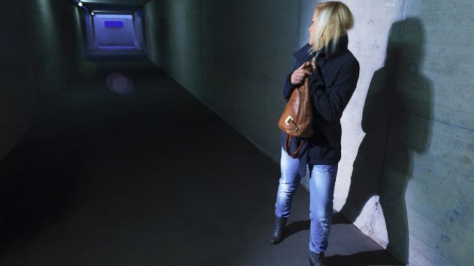 Il sè vulnerabile nella paranoia