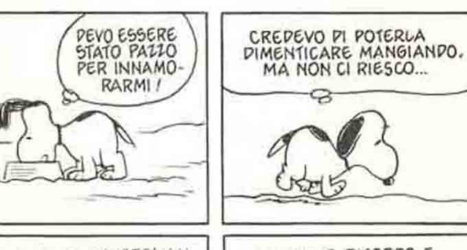 Snoopy La Delusione Amorosa E Il Cibo Come Auto Medicazione