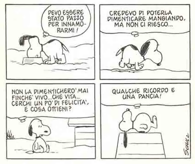 Peanuts Nr. 6 - Delusione amorosa