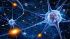 Una “spugna” per coltivare neuroni: l’evoluzione dei neuroni in vitro dal 2D al 3D