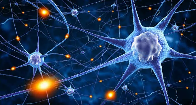 Immagine: Fotolia_78707112_Una spugna per coltivare neuroni l'evoluzione dei neuroni in vitro dal 2D al 3D