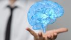 L’alfabeto elettrico del cervello: temporarizzazione e frequenza sono alla base dell’informazione nervosa