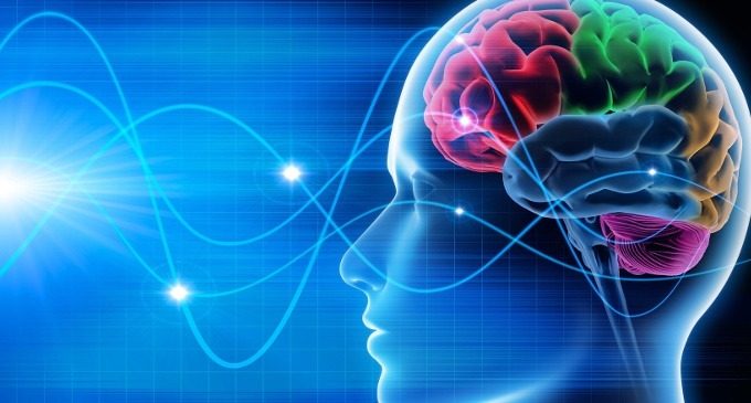 Gli scienziati possono leggere nella nostra mente? - Immagine: 73243812
