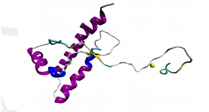 La proteina prionica è protettiva contro l’epilessia: confermato con accuratezza senza precedenti il ruolo neuroprotettivo di PrPC