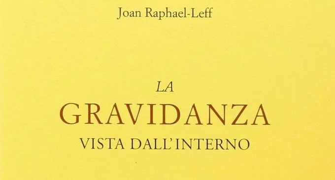 La gravidanza vista dall'interno (2014) di Joan Raphael-Leff - Recensione