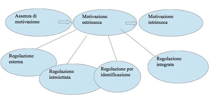 La self-determination-theory