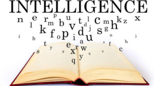 Intelligenti si nasce? Verso una visione incrementale dell'intelligenza