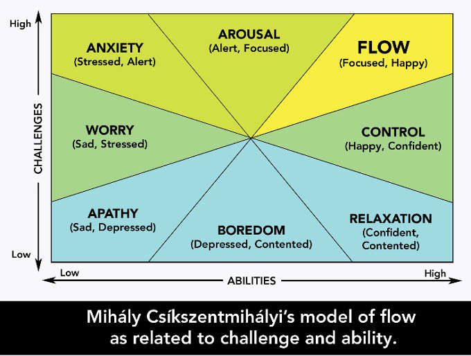 the flow experience