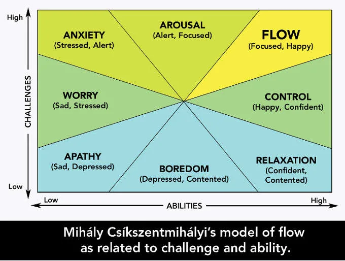 the flow experience