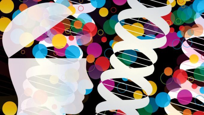 Natura e cultura nel comportamento umano: la genetica del comportamento in pillole