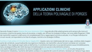 Applicazioni cliniche della Teoria polivagale di Porges – Report dal convegno