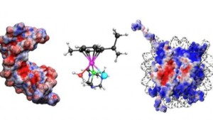 I farmaci 'metallici' contro il cancro: un lavoro teorico/sperimentale migliora la conoscenza sui chemioterapici