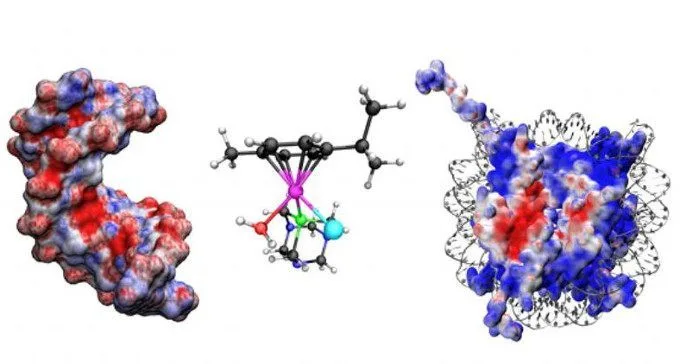 I farmaci 'metallici' contro il cancro: un lavoro teorico/sperimentale migliora la conoscenza sui chemioterapici