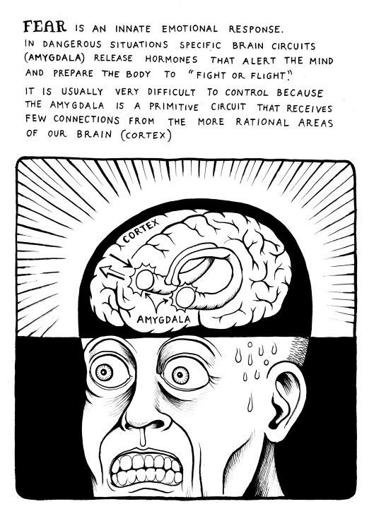 Il piccolo Albert 02 - Matteo Farinella - Neurocomic