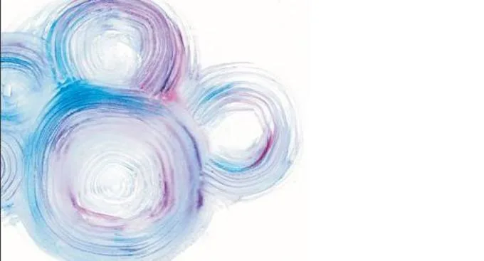 Le Emozioni Incarnate &ndash; Report dal Workshop di Milano, 16-17 Gennaio 2016