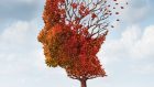 Malattia di Alzheimer: il ruolo del corpo calloso nell’evoluzione dei sintomi cognitivi e neuropsichiatrici