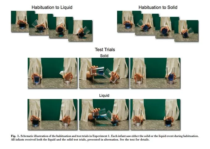 Abnituation to liquids and solids - 1