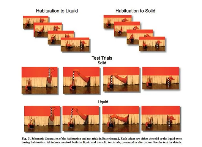 Abnituation to liquids and solids - 2