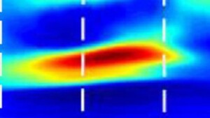 Ricordi e sensazioni: il ritmo theta li unisce