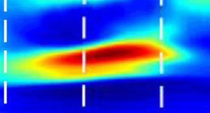 Ricordi e sensazioni: il ritmo theta li unisce