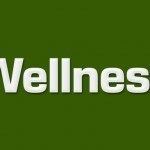 La Scala della Valutazione del Benessere: un nuovo strumento di valutazione del costrutto