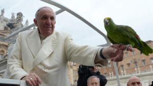 Compassione animali persone Papa Francesco