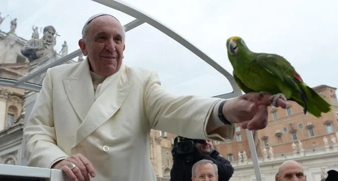 Compassione animali persone Papa Francesco