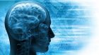 La scoperta dell’atlante semantico del nostro cervello