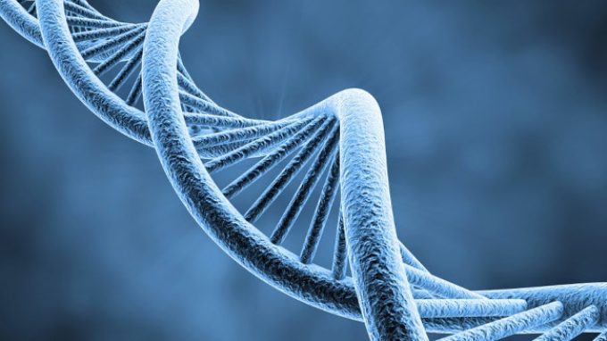 Scoperto il gene che ci fa sentire il dolore: il PRDM12