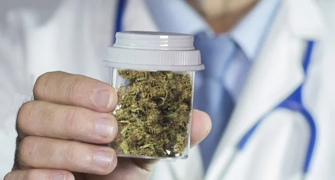 Cannabis medica: linee guida per l’utilizzo della marijuana nel trattamento del dolore