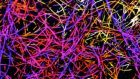 Un ponte di carbonio fra tessuti nervosi – Una spugna hightech connette i neuroni in vitro (ed è biocompatibile in vivo)