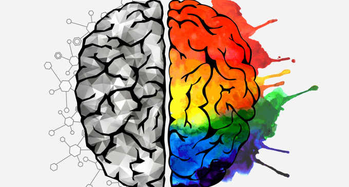 Lo switch cerebrale: il cervello che si salva da solo