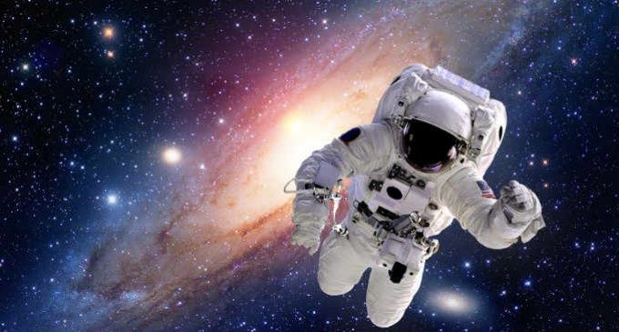 Gli effetti del volo spaziale sulla connettività neuronale e sul comportamento