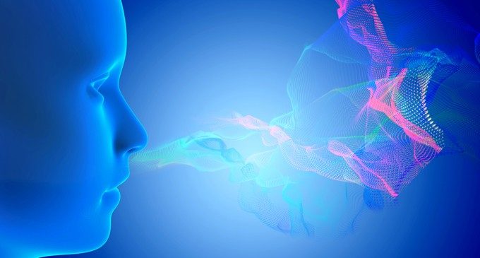 Il profumo dell’ovulazione: come l’odore influenza la scelta del partner