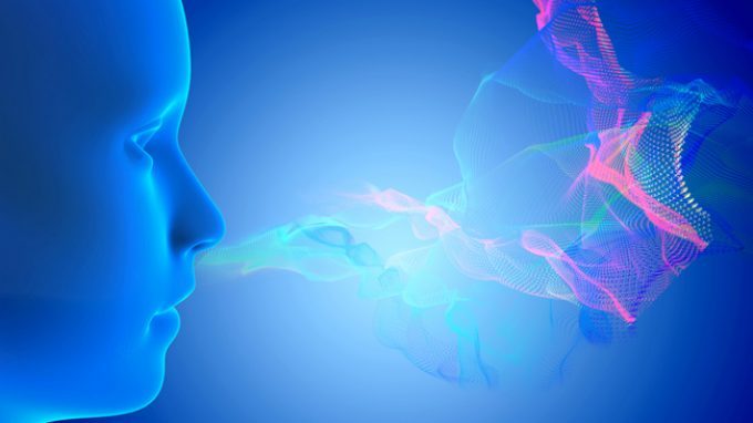Il profumo dell’ovulazione: come l’odore influenza la scelta del partner