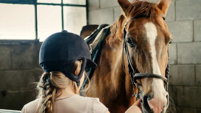 Pet therapy: che cos’è e gli studi sull’efficacia