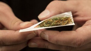 Abuso di cannabis e insorgenza di sintomi psicotici: quale relazione?