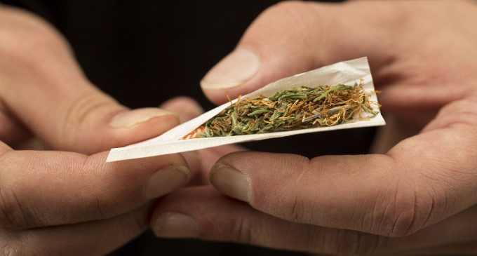 L’abuso di cannabis può causare psicosi